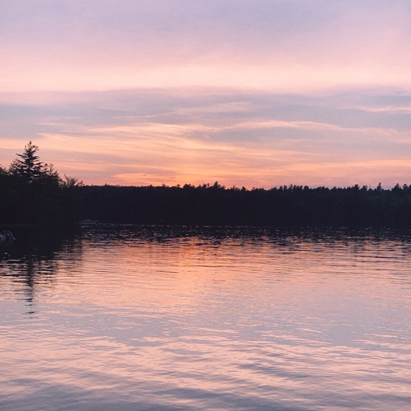 Meet your Posher, Arynleigh - Picture 1 of 1